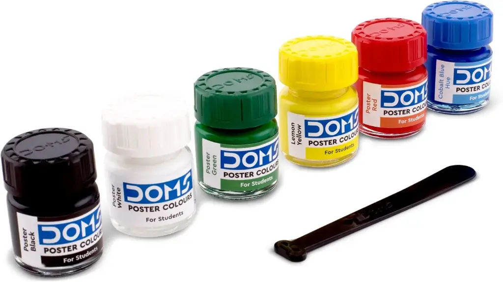 domsp 2.webp