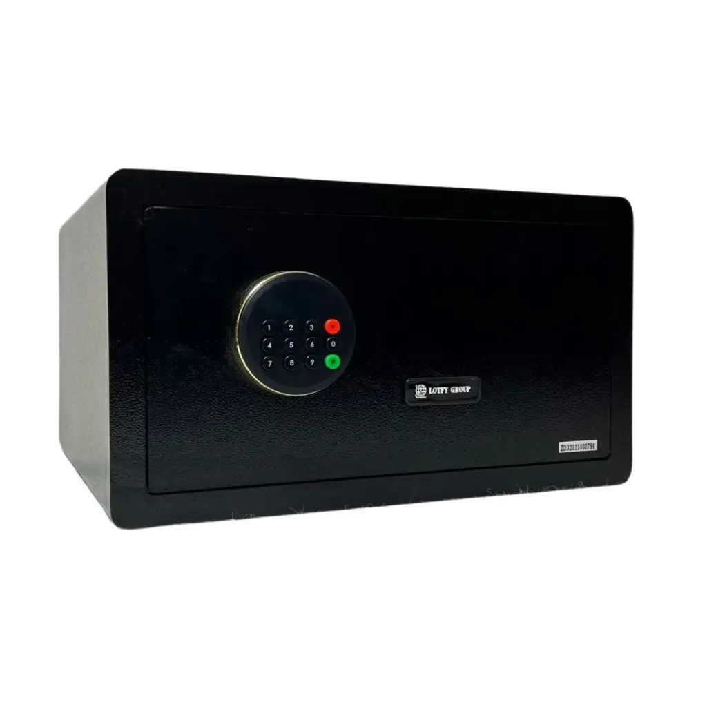 Home Safe LG Safe - 23 CLR BLACK