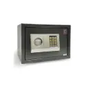 Home Safe LG Safe - 25 EA GRAY