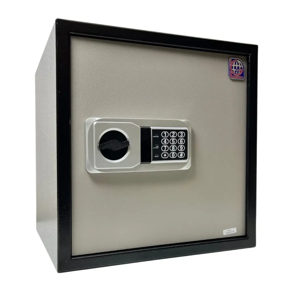 Home Safe LG Safe - 40 NEK GRAY