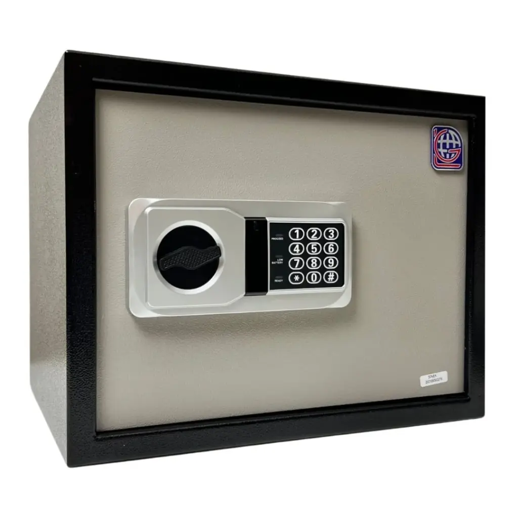 Home Safe LG Safe - 30 NEK GRAY