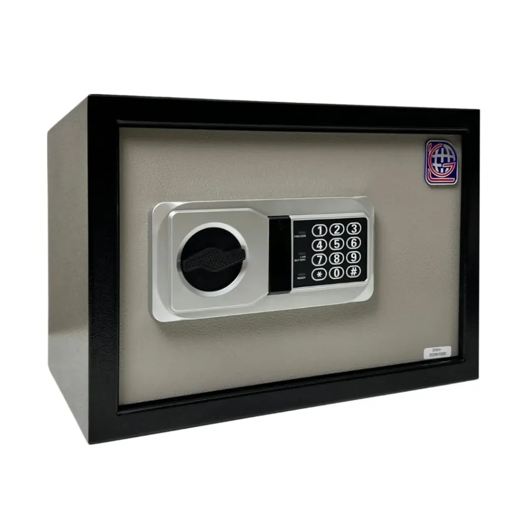 Home Safe LG Safe - 25 NEK GRAY