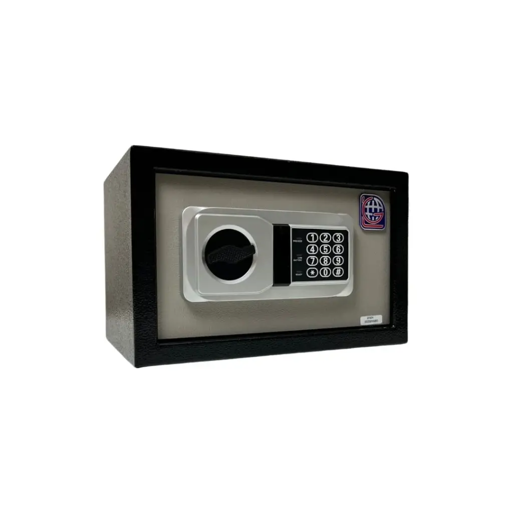 Home Safe LG Safe - 20 NEK GRAY