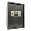 Home Safe LG Safe - 50 ALC GRAY
