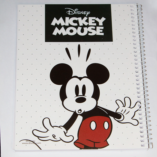Notebook Disney Ruled with Plastic Cover 16×23cm, 100 Sheets