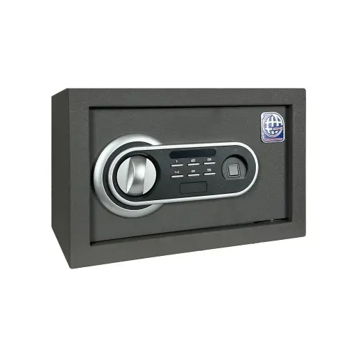 Home Safe LG Safe - 20 FPC Gray