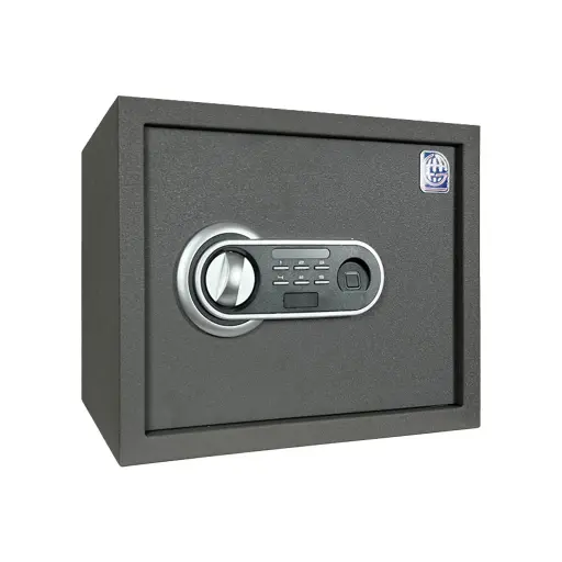 Home Safe LG Safe - 30 FPC Gray