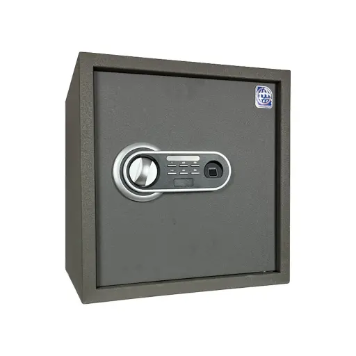 Home Safe LG Safe - 40 FPC Gray