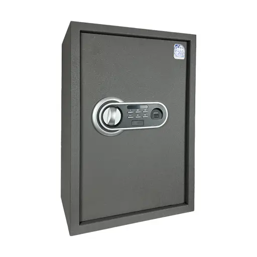 Home Safe LG Safe - 50 FPC Gray