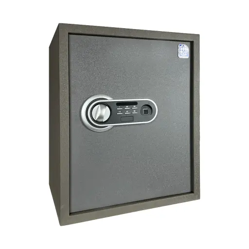 Home Safe LG Safe - 50/Y FPC Gray