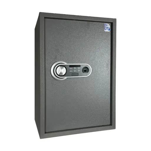 Home Safe LG Safe - 60 FPC Gray