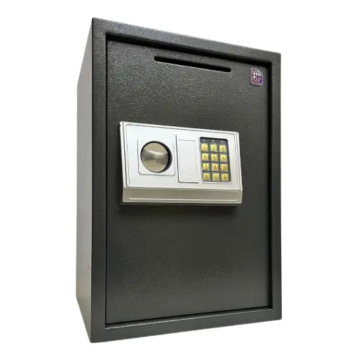 Home Safe LG Safe - 50 EA/D GRAY