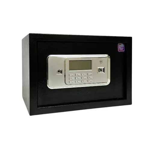 Home Safe LG Safe - 25 BLT Black