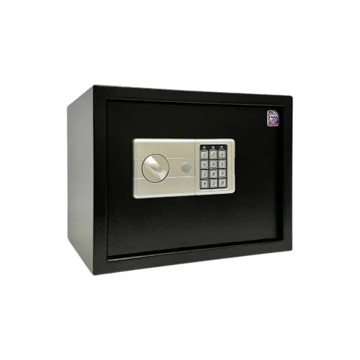 Home Safe LG Safe - 30 LGK BLACK