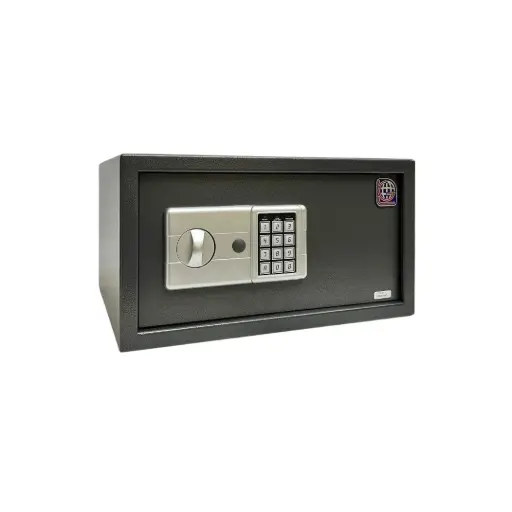 Home Safe LG Safe - 23 LGK GRAY