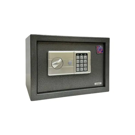 Home Safe LG Safe - 25 LGK GRAY