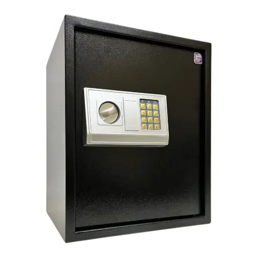 Home Safe LG Safe - 50 EA/Y BLACK