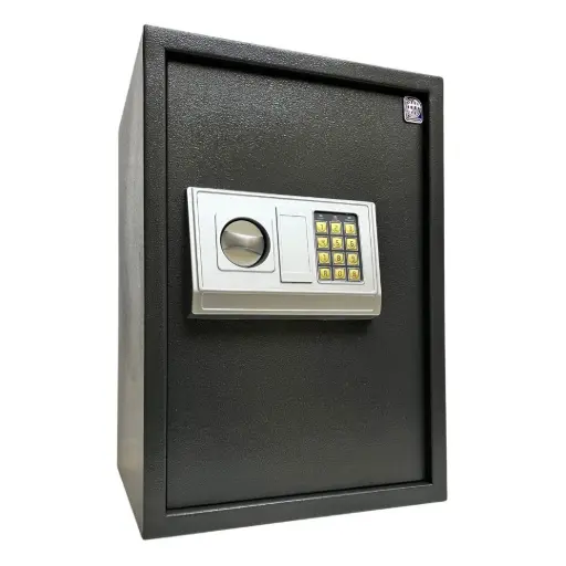 Home Safe LG Safe - 50 EA GRAY