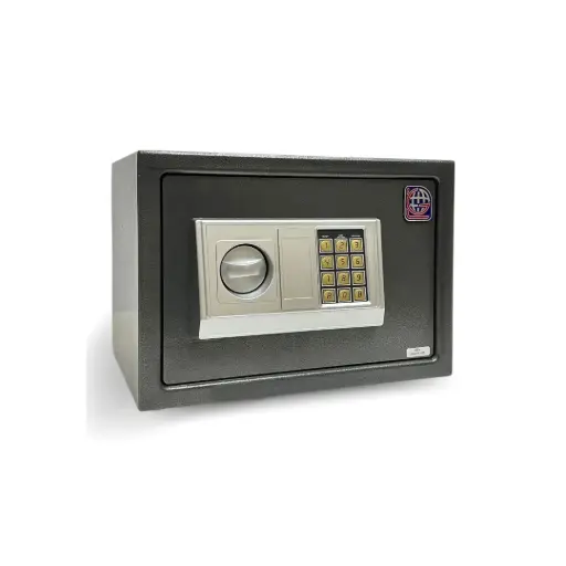 Home Safe LG Safe - 25 EA GRAY