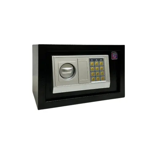 Home Safe LG Safe - 20 EA Black