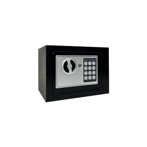 Home Safe LG Safe - 17 EF Black