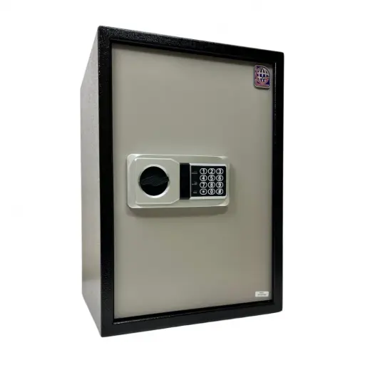 Home Safe LG Safe - 50 NEK GRAY