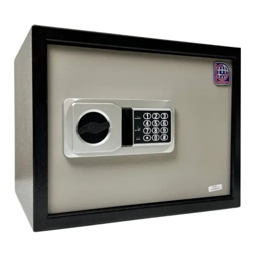 Home Safe LG Safe - 30 NEK GRAY