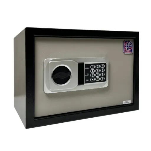 Home Safe LG Safe - 25 NEK GRAY