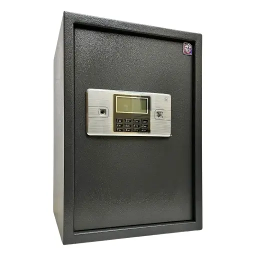 Home Safe LG Safe - 50 ALC GRAY