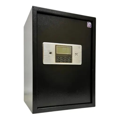 Home Safe LG Safe - 50 ALC BLACK