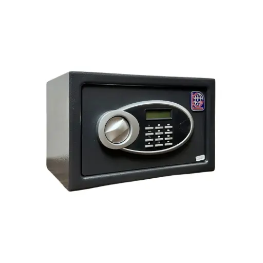 Home Safe LG Safe - 20 EUD GRAY